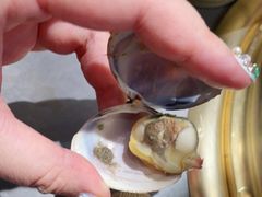 -牛道烤肉海鲜自助