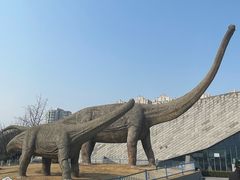 -安徽省地质博物馆