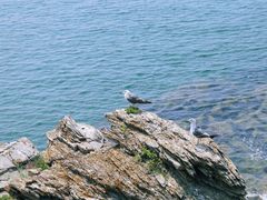 -大连金石滩滨海国家地质公园