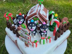 -前小桔亲子创意农场·草莓采摘·露营烧烤