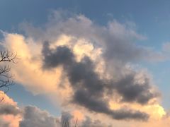 -金鸡岭桥头公园