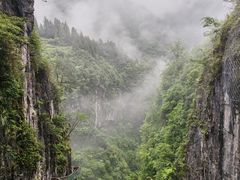 -鹿院坪生态旅游景区