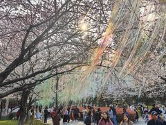 -堤角公园