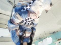 -怪兽屋·羊驼·猫咖·狗咖(俊华广场店)