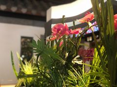 -大鸽饭(岗顶店)