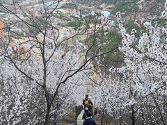 -北京凤凰岭