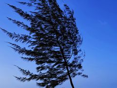 -白沙门生态公园