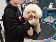 -欣怡宠物店