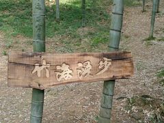-宁波浙东大竹海景区