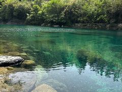 -石台牯牛降景区