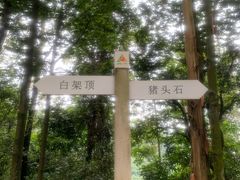 -火炉山森林公园
