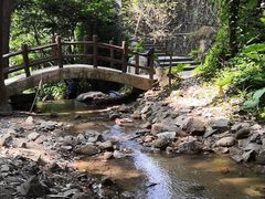 -火炉山森林公园