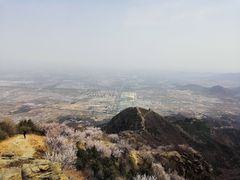 -北京鹫峰国家森林公园
