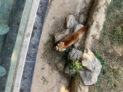 -南昌动物园