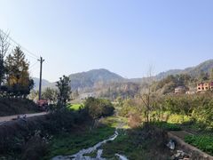 -千年银杏谷文化旅游区