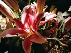 -瑶王府·广西菜(相思湖店)