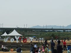 -光明小镇欢乐田园