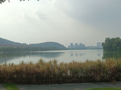 -顺峰山公园