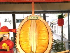 -都念榴莲·城市榴莲