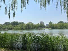 -WhaleSports户外水上运动俱乐部(朝阳公园店)