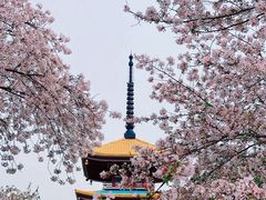 -东湖磨山景区