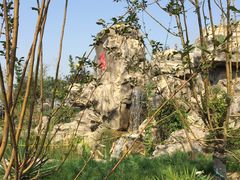 -武清南湖绿博园