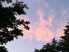 -北龙湖湿地公园