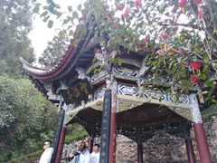 -蝴蝶泉公园