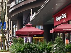 -哈根达斯(龙湖时代天街店)