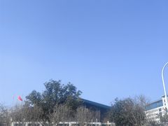 -武汉大学-樱园
