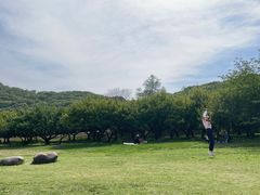 -苏州上方山国家森林公园