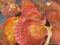 -藜爱·山海情海鲜自助(万达广场店)