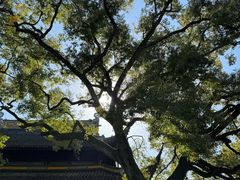 -西园戒幢律寺