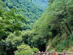 -少华山国家森林公园