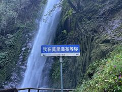 -莫里热带雨林景区