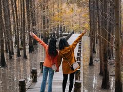 -桤木河湿地公园