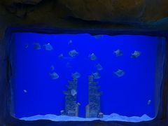 -南昌融创海世界
