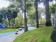 -宝安西湾红树林湿地公园