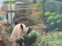 -杭州动物园