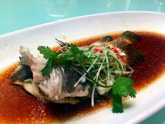 -骏莱海鲜鱼港(五角场店)