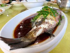 清蒸活海鱼-锐记美食店·现捞海鲜(闸坡店)