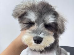 -comecome来吧宠物(奥克斯中心店)