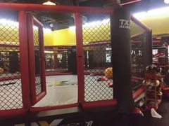 -天行健身＆天行拳馆跆拳道·格斗TXGYM