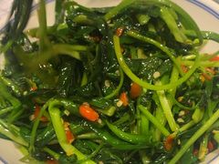 -壹盏灯(惠农店)