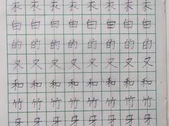 -赵汝飞练字硬笔书法(静安大融城校区)