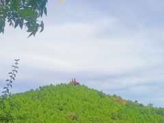 -北宫国家森林公园