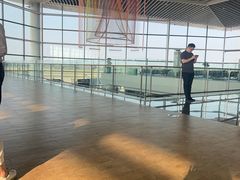 -青岛胶东国际机场