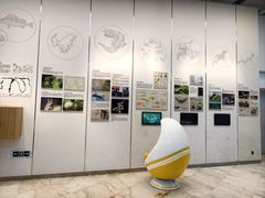 -下渚湖国家湿地公园科普馆