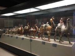 -西安大唐西市博物馆