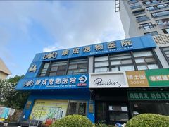 -康成宠物医院24H·CT·核磁共振